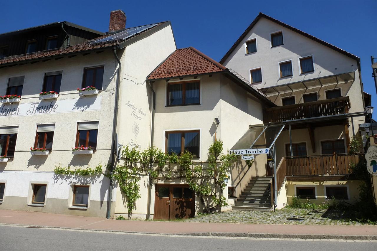 Hotel Blaue Traube Gebenbach Exteriér fotografie